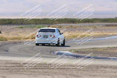 media/Oct-04-2025-OnGrid (Sat) [[44bd565ffa]]/Green Group/Grapevine/